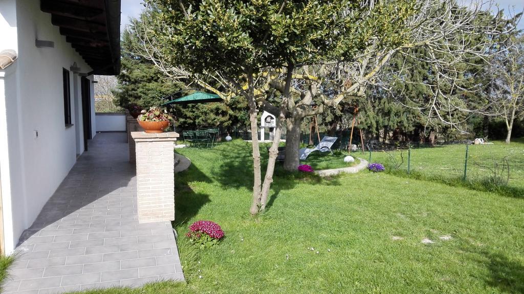 Il Piccolo Rifugio - L'Angoletto Palidoro Chambre photo